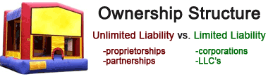 business ownership structure